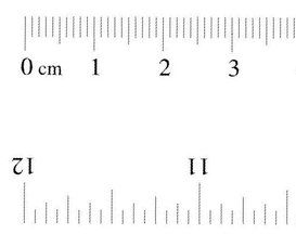 real size ruler